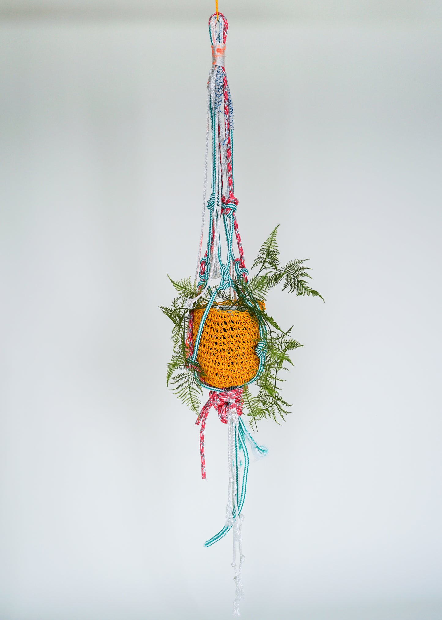 GIANT PLANT HANGER / ZENON